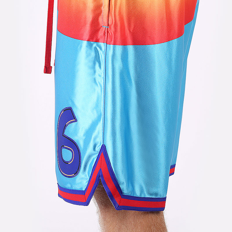 мужские голубые шорты  Nike LeBron x Space Jam: A New Legacy “`Tune Squad` Short DJ3869-434 - цена, описание, фото 5